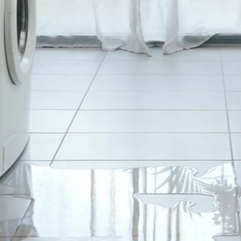Appliance Leak Cleanup in Temecula, CA